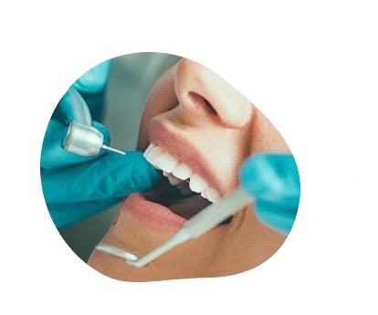 Endodoncija